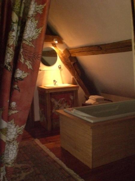 La Touche Bed & Breakfast Menetou-sur-Nahon Rom bilde