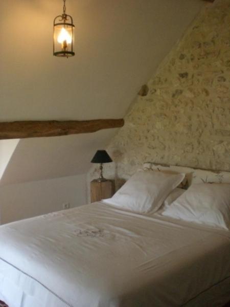 La Touche Bed & Breakfast Menetou-sur-Nahon Rom bilde