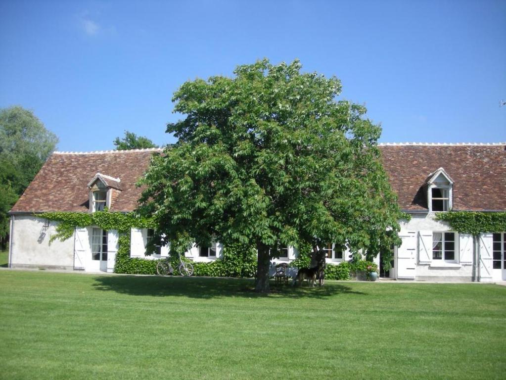 La Touche Bed & Breakfast Menetou-sur-Nahon Eksteriør bilde
